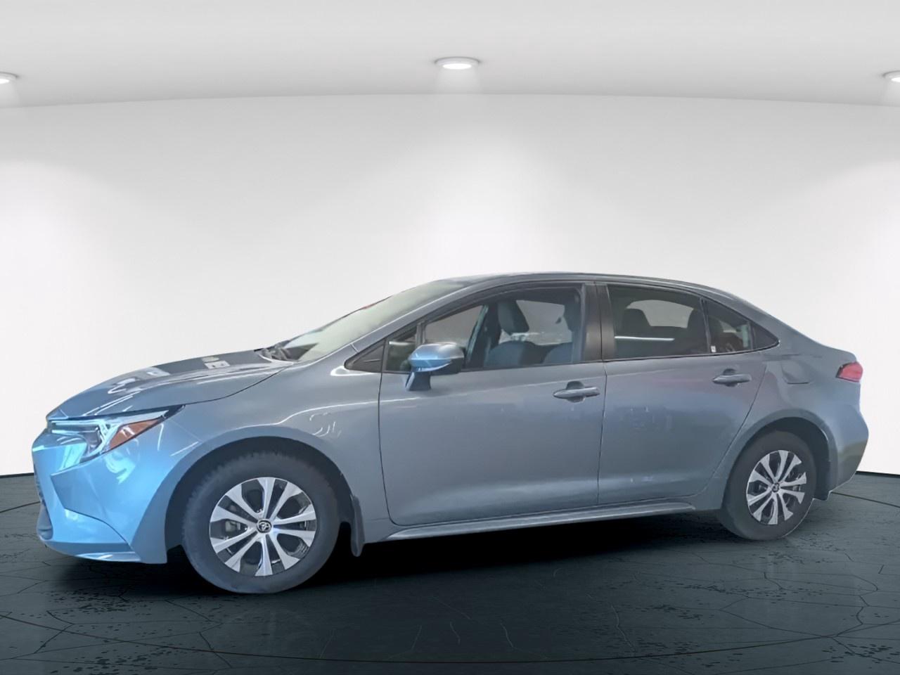 2023 Toyota Corolla LE Hybrid Photo
