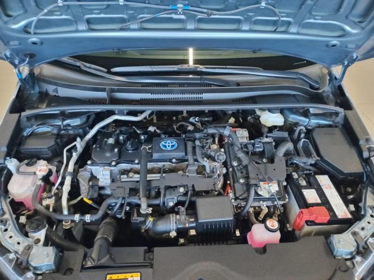 2023 Toyota Corolla LE Hybrid Photo