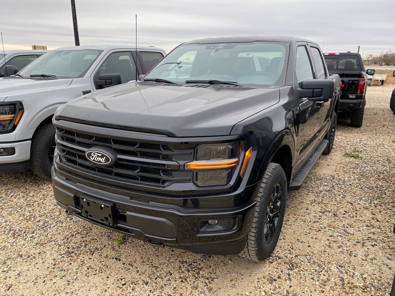 New 2024 Ford F-150 XLT 4WD SUPERCREW 5.5' BOX for sale in Elie, MB