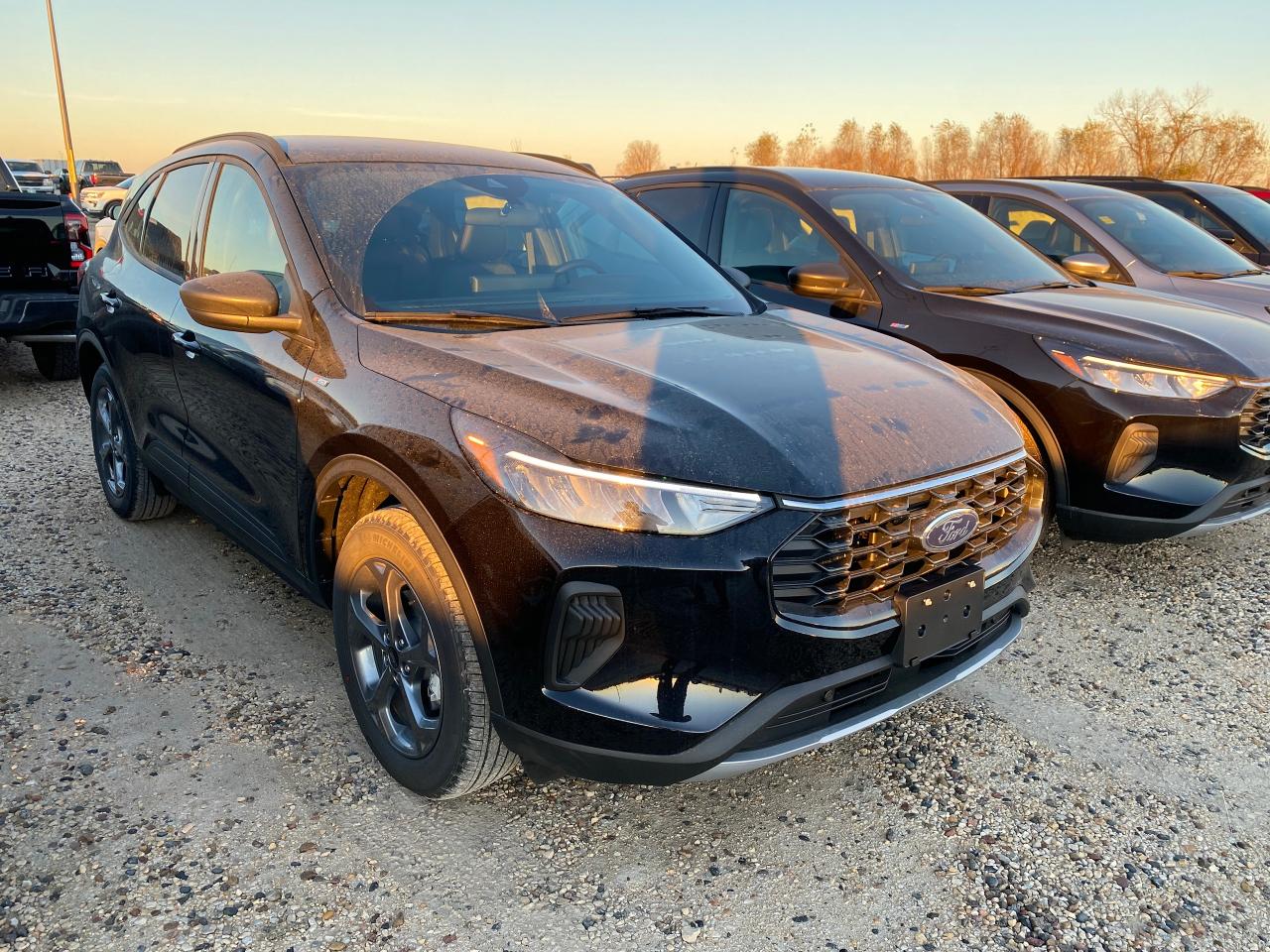 New 2025 Ford Escape ST-LINE AWD 300A for sale in Elie, MB