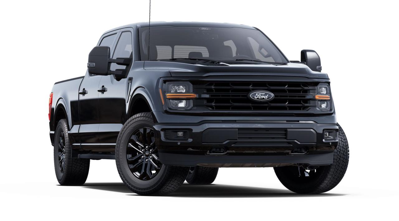 2025 Ford F-150 XLT Photo