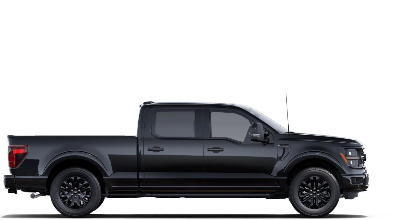 2025 Ford F-150 XLT Photo4