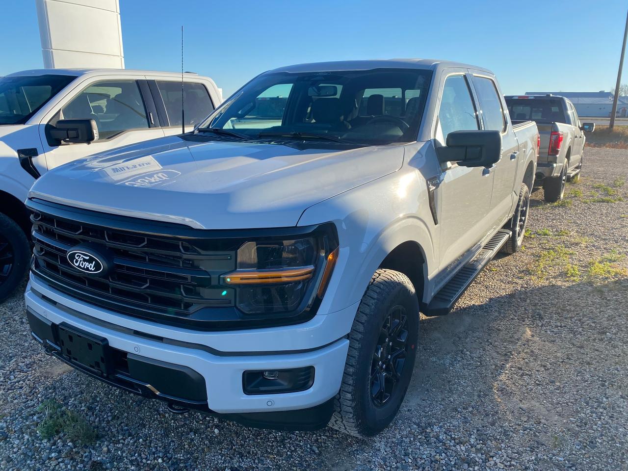 New 2024 Ford F-150 XLT 4WD SUPERCREW 5.5' BOX for sale in Elie, MB