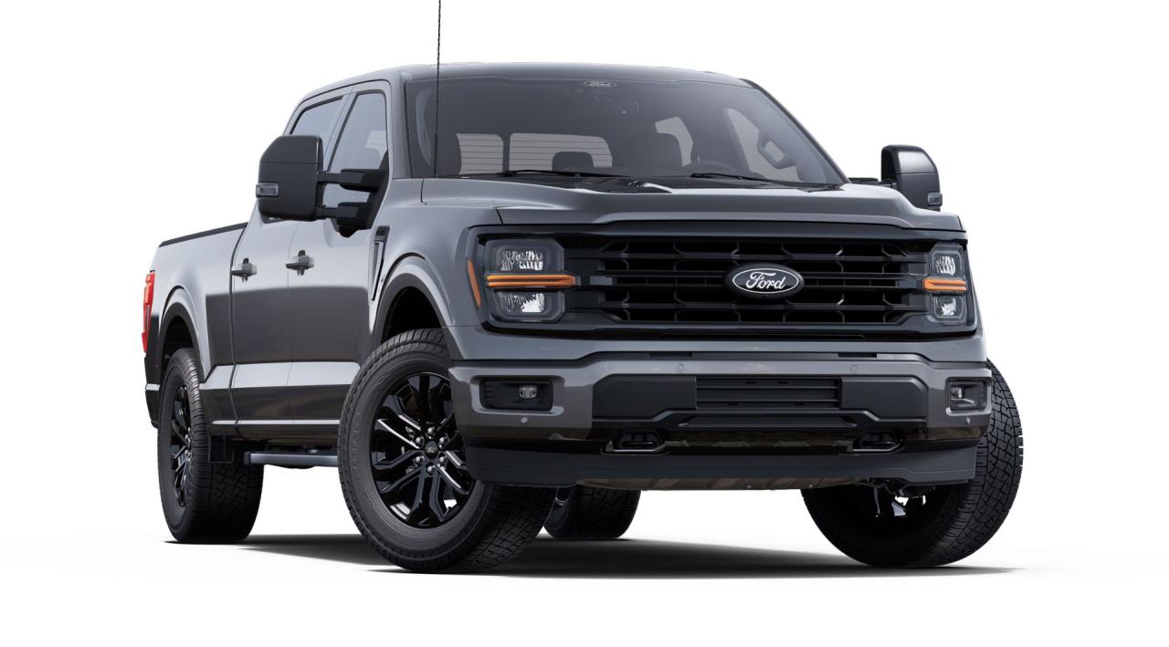 2025 Ford F-150 XLT Photo