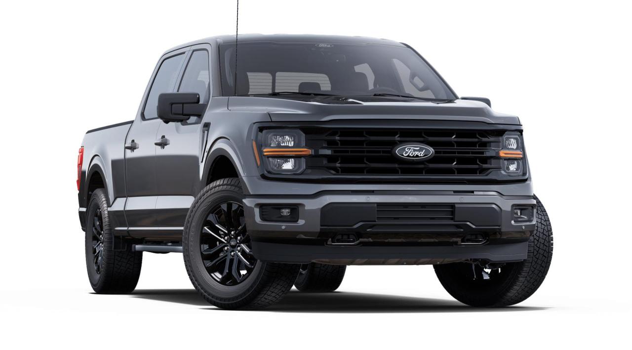 2025 Ford F-150 XLT Photo