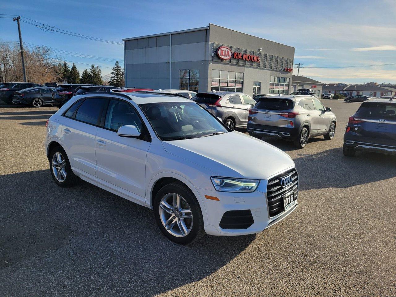 Used 2016 Audi Q3 Premium Plus for sale in Brandon, MB