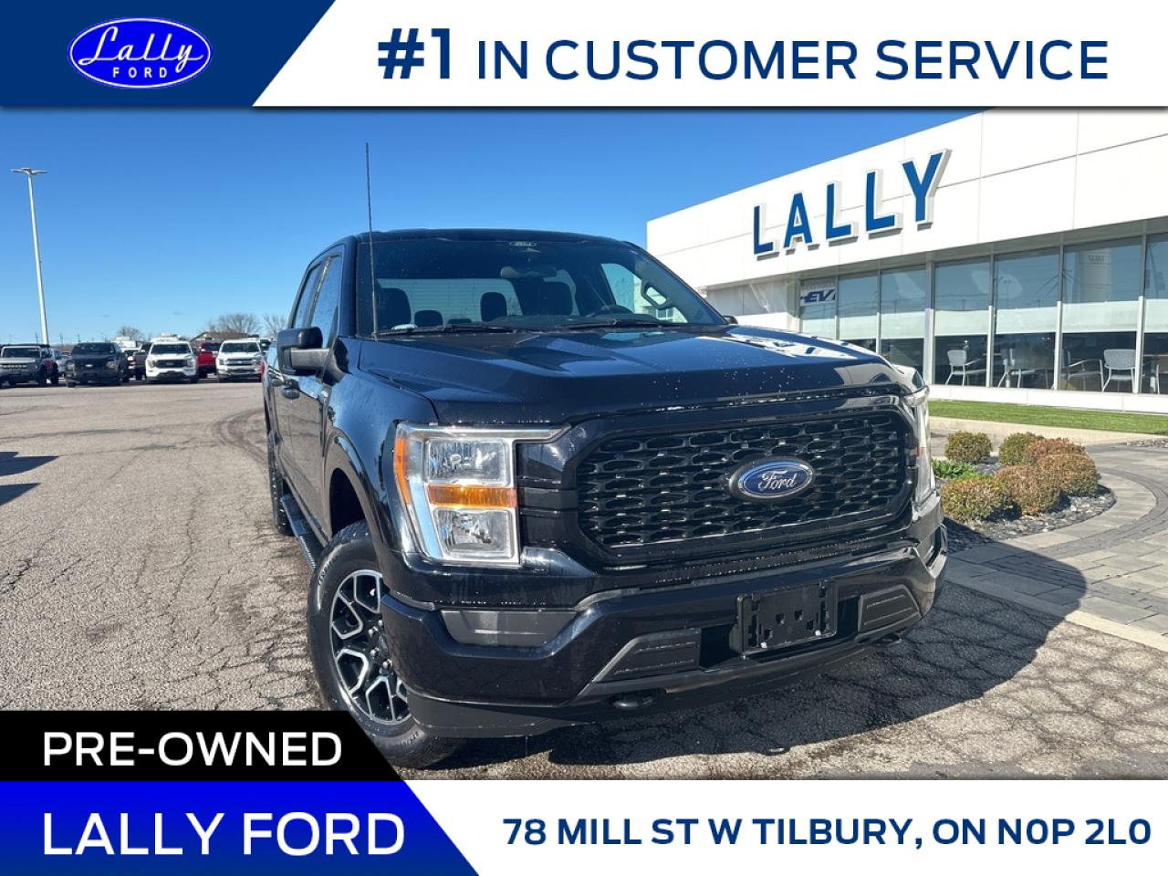 Used 2022 Ford F-150 STX, One Owner, 4x4!! for sale in Tilbury, ON