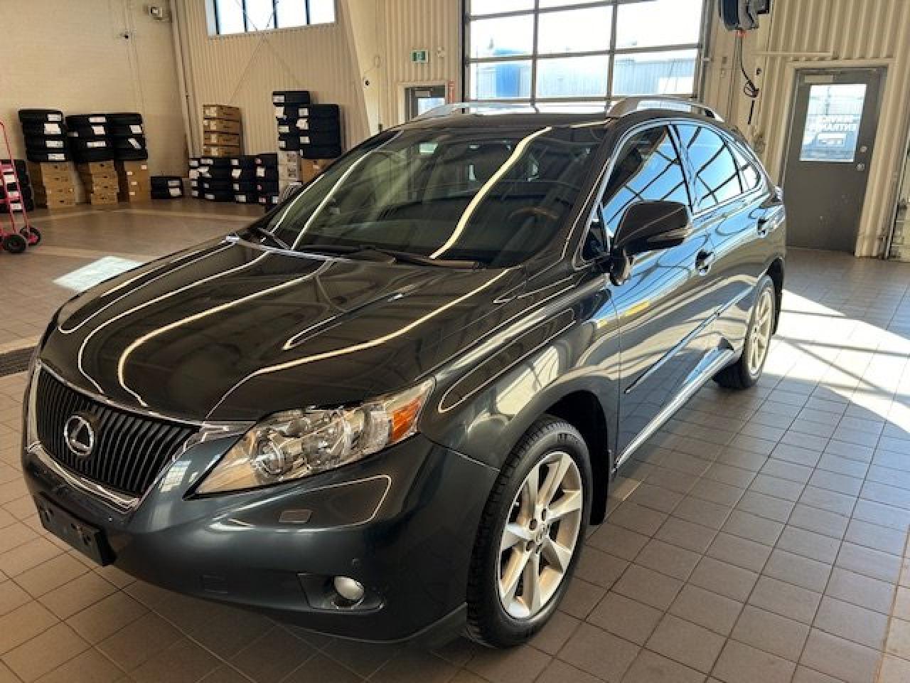 Used 2010 Lexus RX 350  for sale in Ottawa, ON