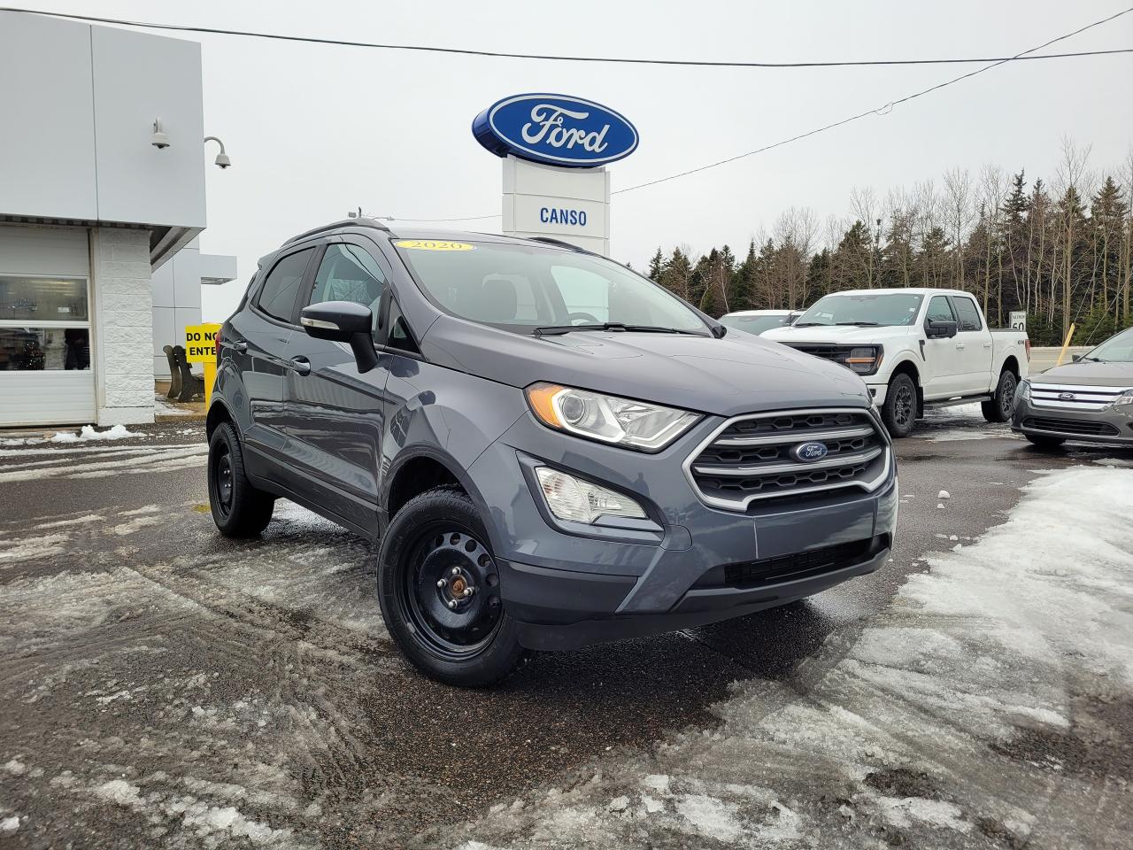 Used 2020 Ford EcoSport SE 4WD for sale in Port Hawkesbury, NS