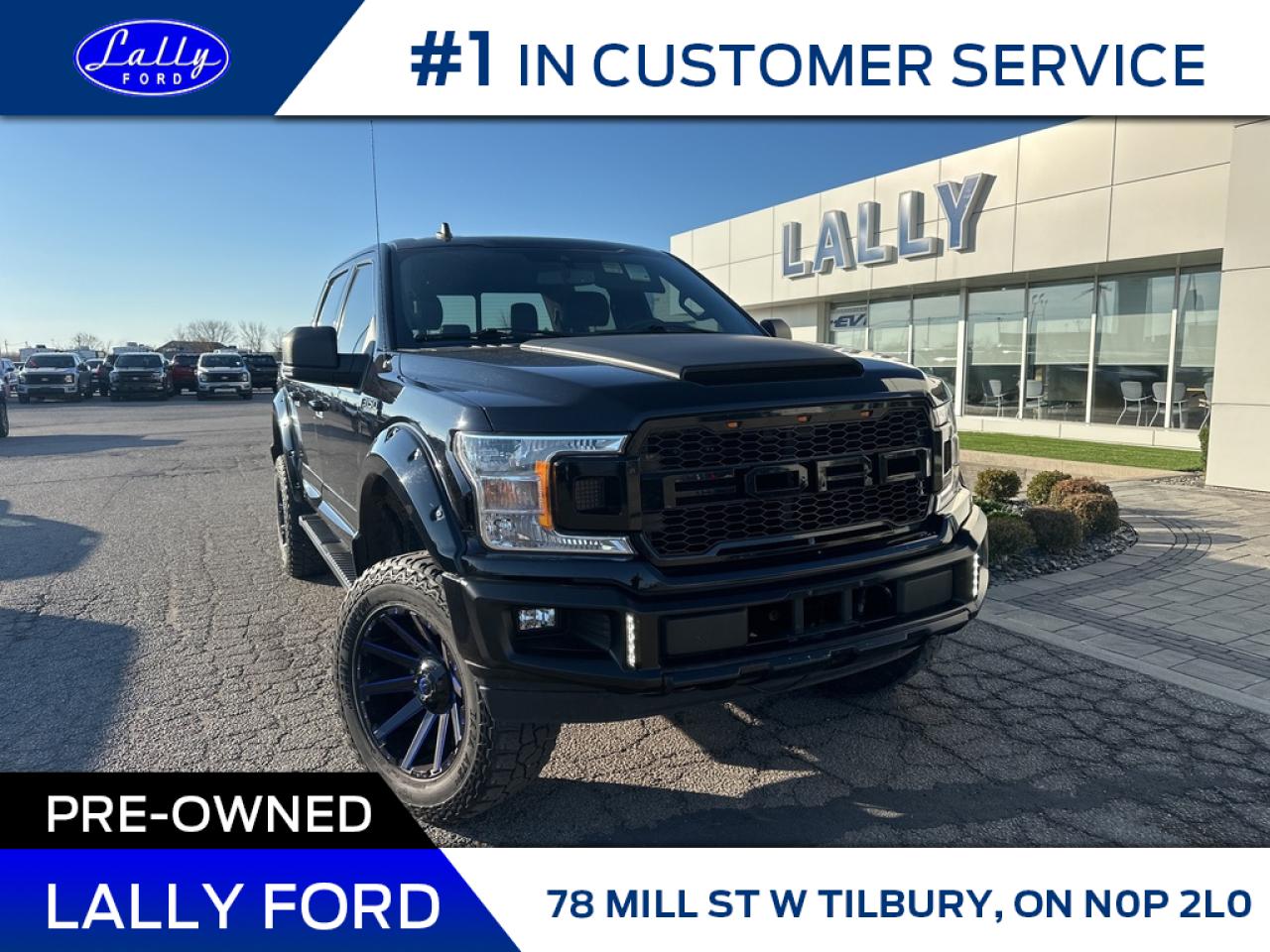 Used 2019 Ford F-150 XLT, Custom Dakar, Nav, Leather!! for sale in Tilbury, ON