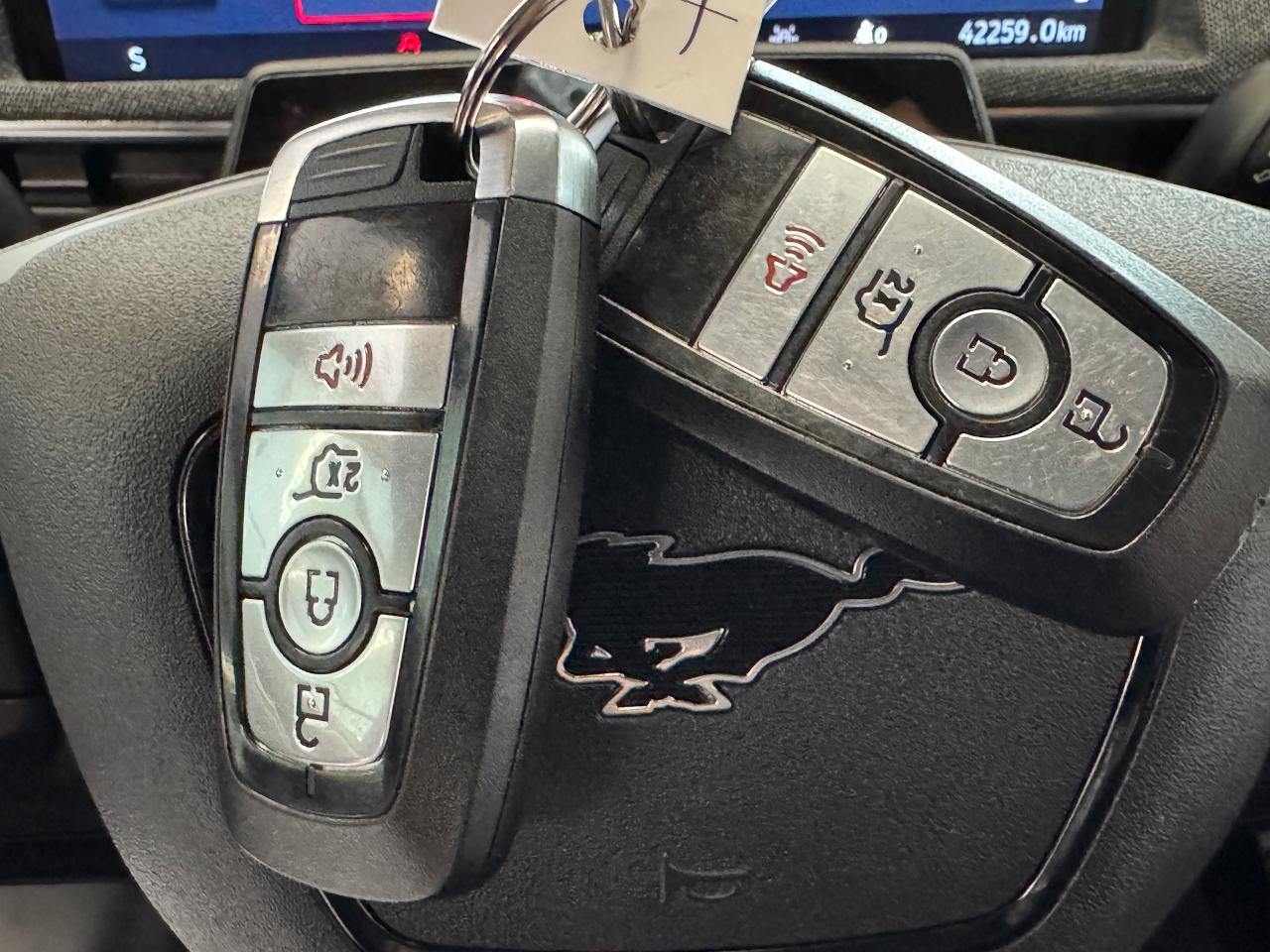 2021 Ford Mustang Mach-E Premium AWD+BlueCruise+360 Camera+CLEAN CARFAX - Photo #19