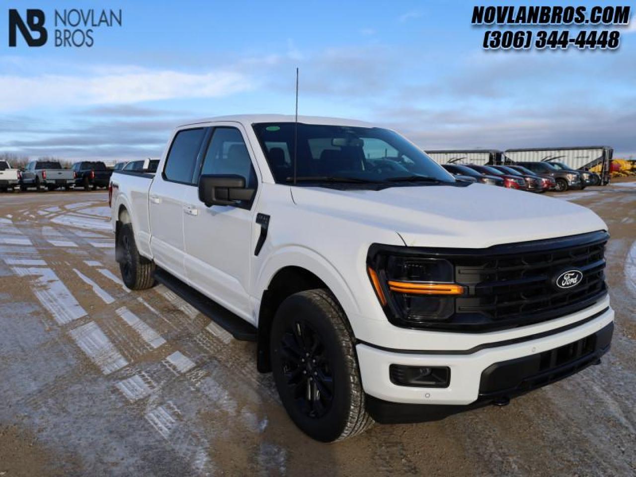 New 2024 Ford F-150 XLT  - Tow Package - Tailgate Step for sale in Paradise Hill, SK