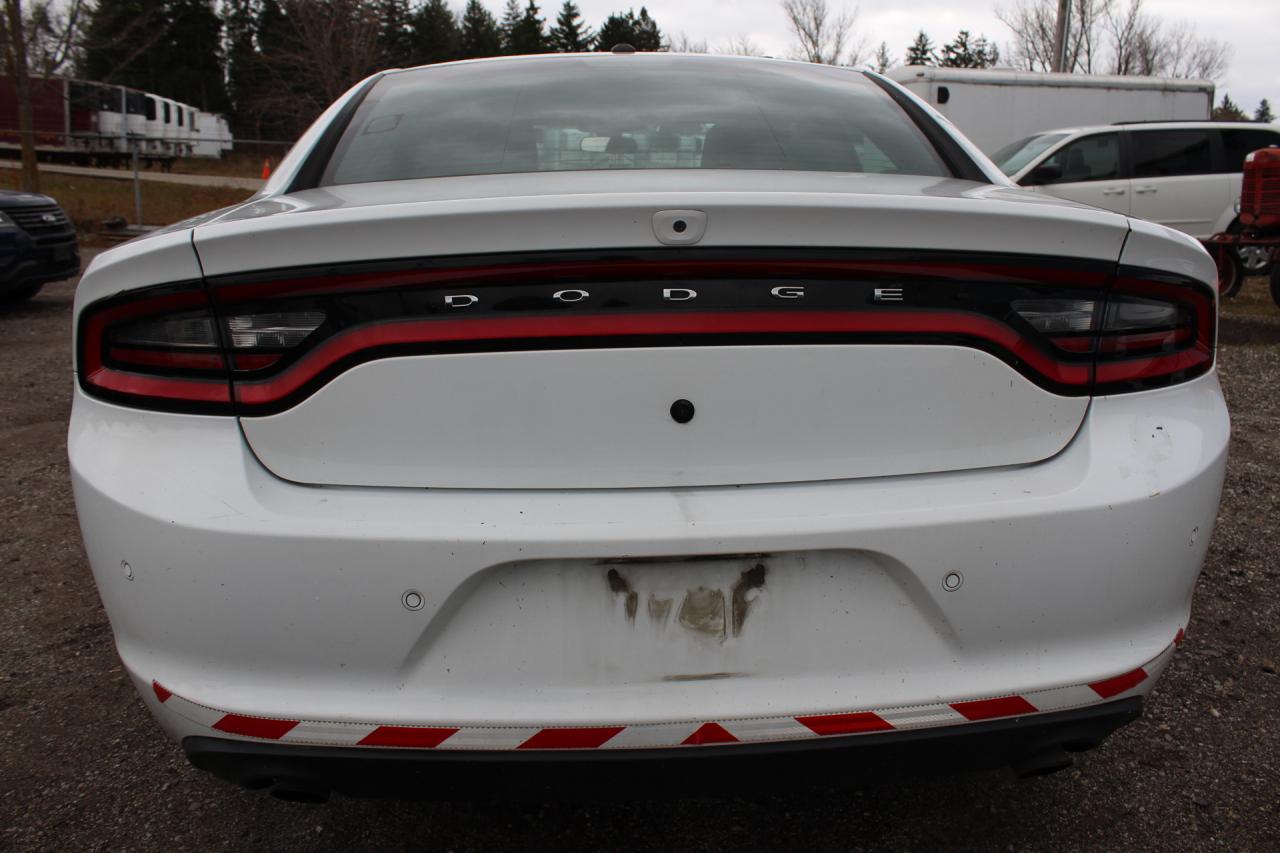 2019 Dodge Charger  Photo