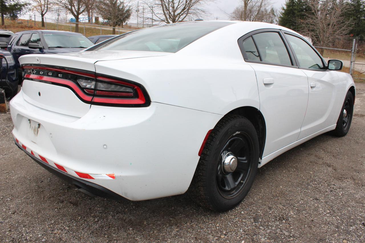 2019 Dodge Charger  Photo