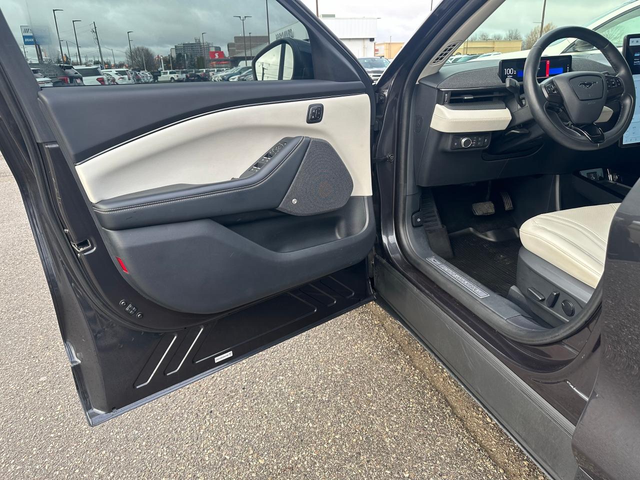 2022 Ford Mustang Mach-E Premium Photo