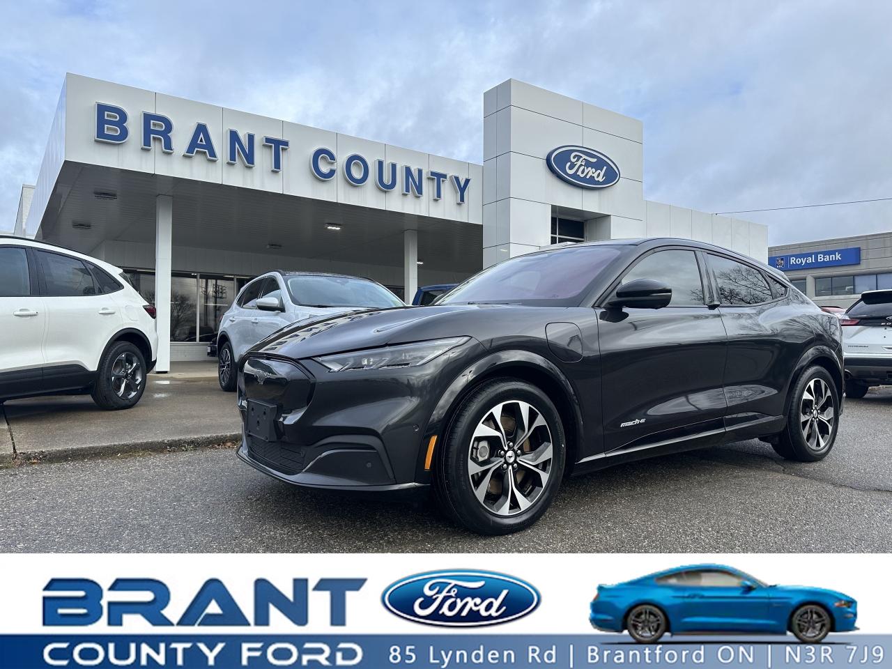 Used 2022 Ford Mustang Mach-E Premium for sale in Brantford, ON