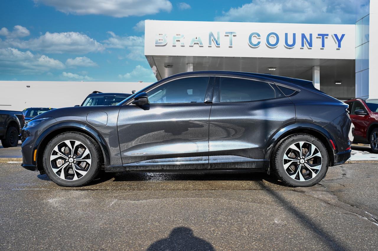 2022 Ford Mustang Mach-E CLEAN CAR FAX | LOW KM | LEATHER | REMOTE START Photo