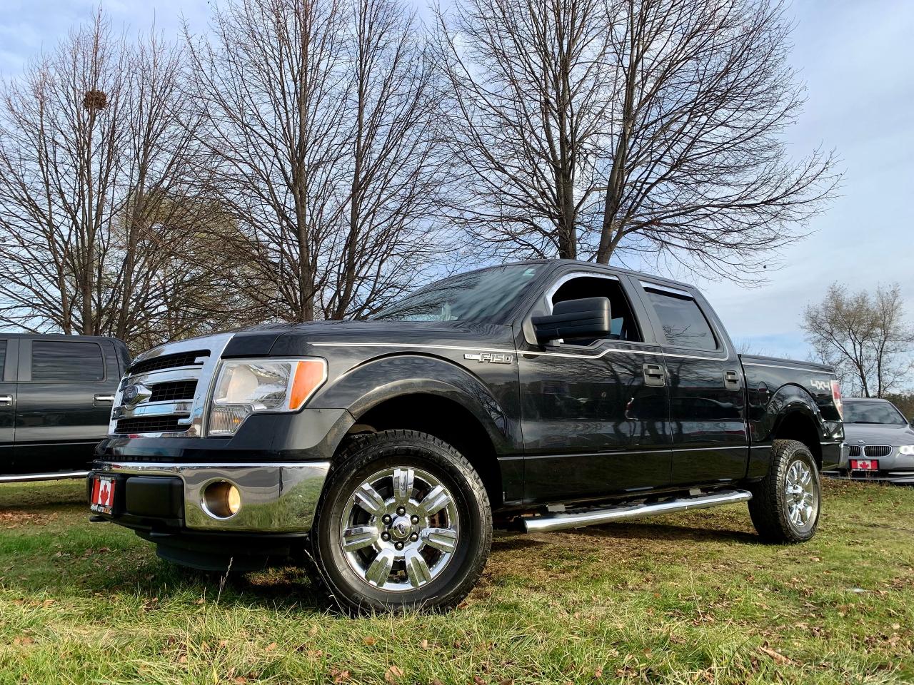 Used 2014 Ford F-150 XLT for sale in Guelph, ON