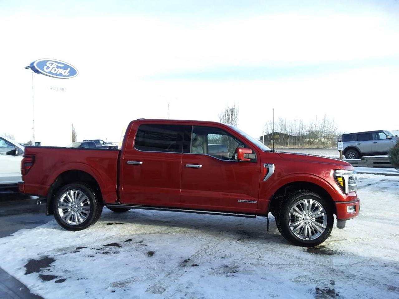 New 2024 Ford F-150 PLATINUM for sale in Lacombe, AB