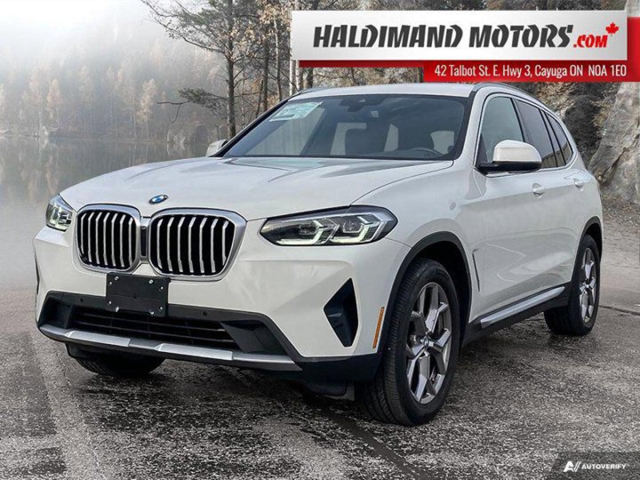 Used 2022 BMW X3 xDrive30i for sale in Cayuga, ON