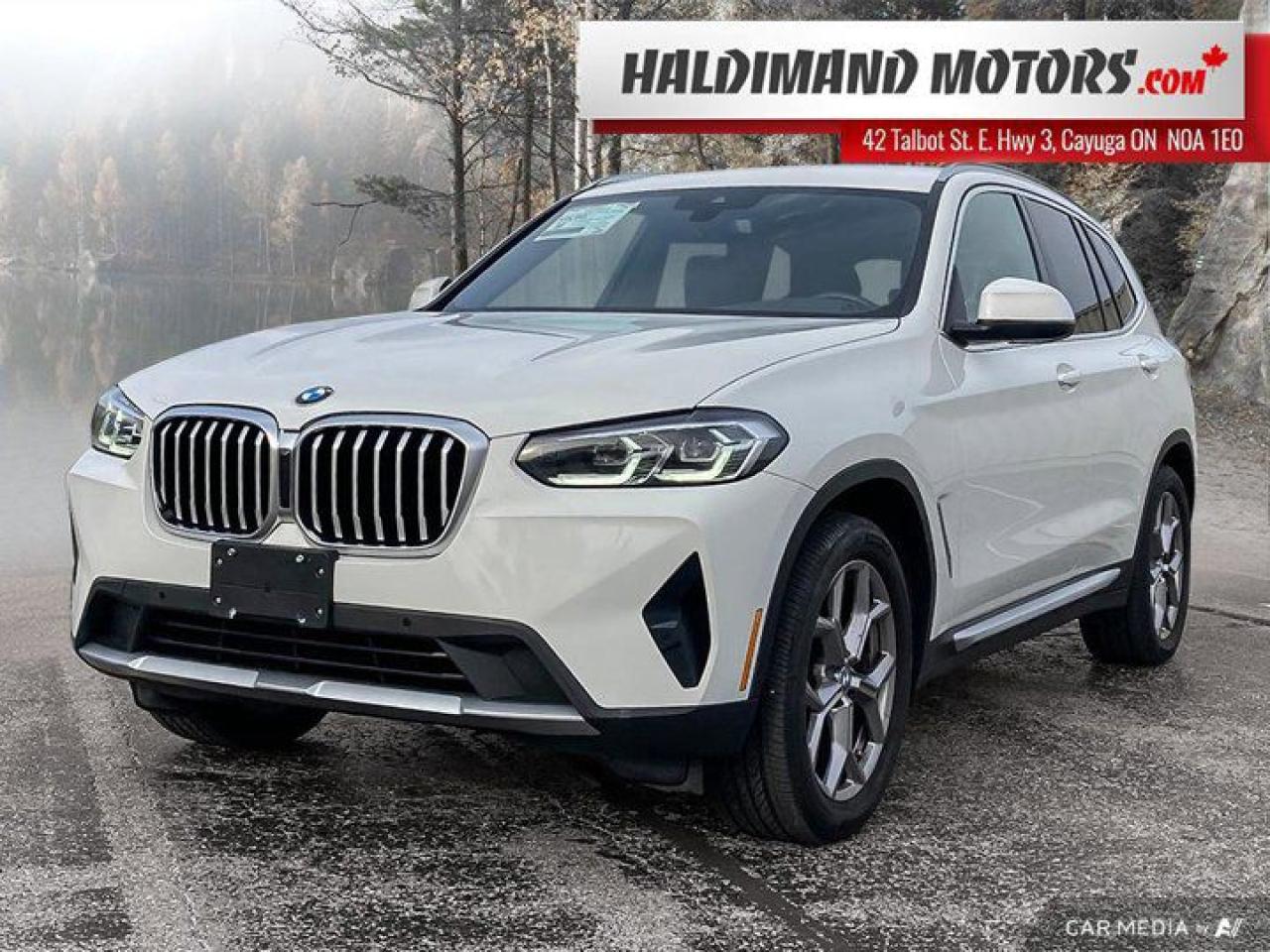 Used 2022 BMW X3 xDrive30i for sale in Cayuga, ON