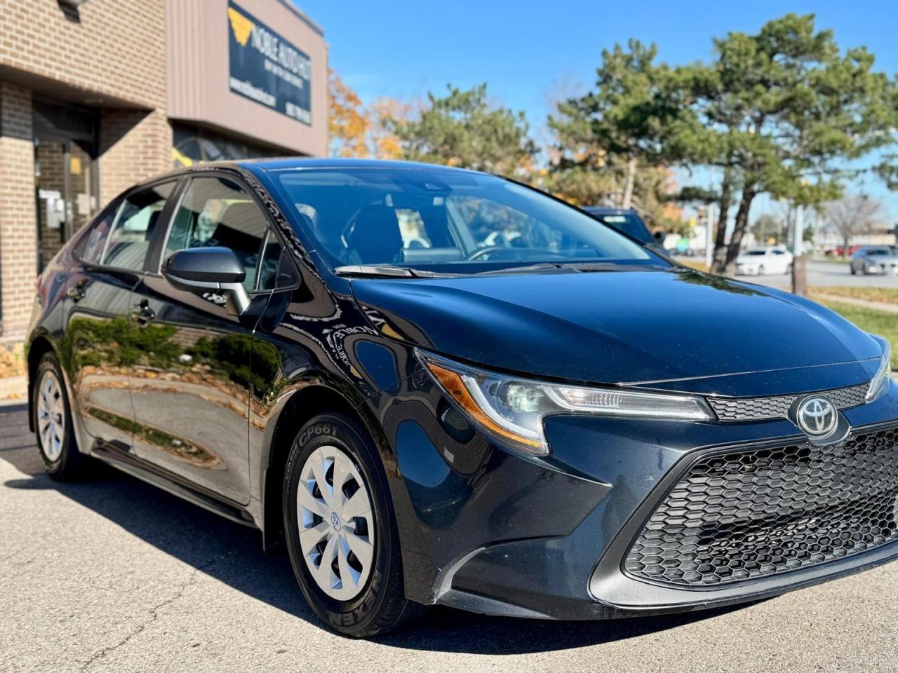 2020 Toyota Corolla  Photo3
