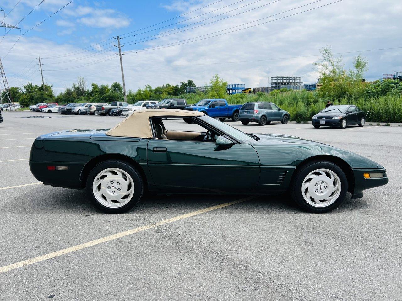 1995 Chevrolet Corvette Convertible **POLO GREEN** - Photo #4