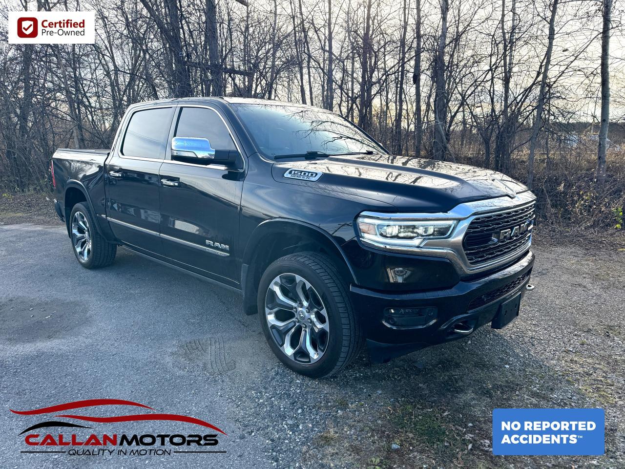 Used 2019 RAM 1500 Limited Crew Cab 4WD Panoroof | Power Boards for sale in Perth, ON