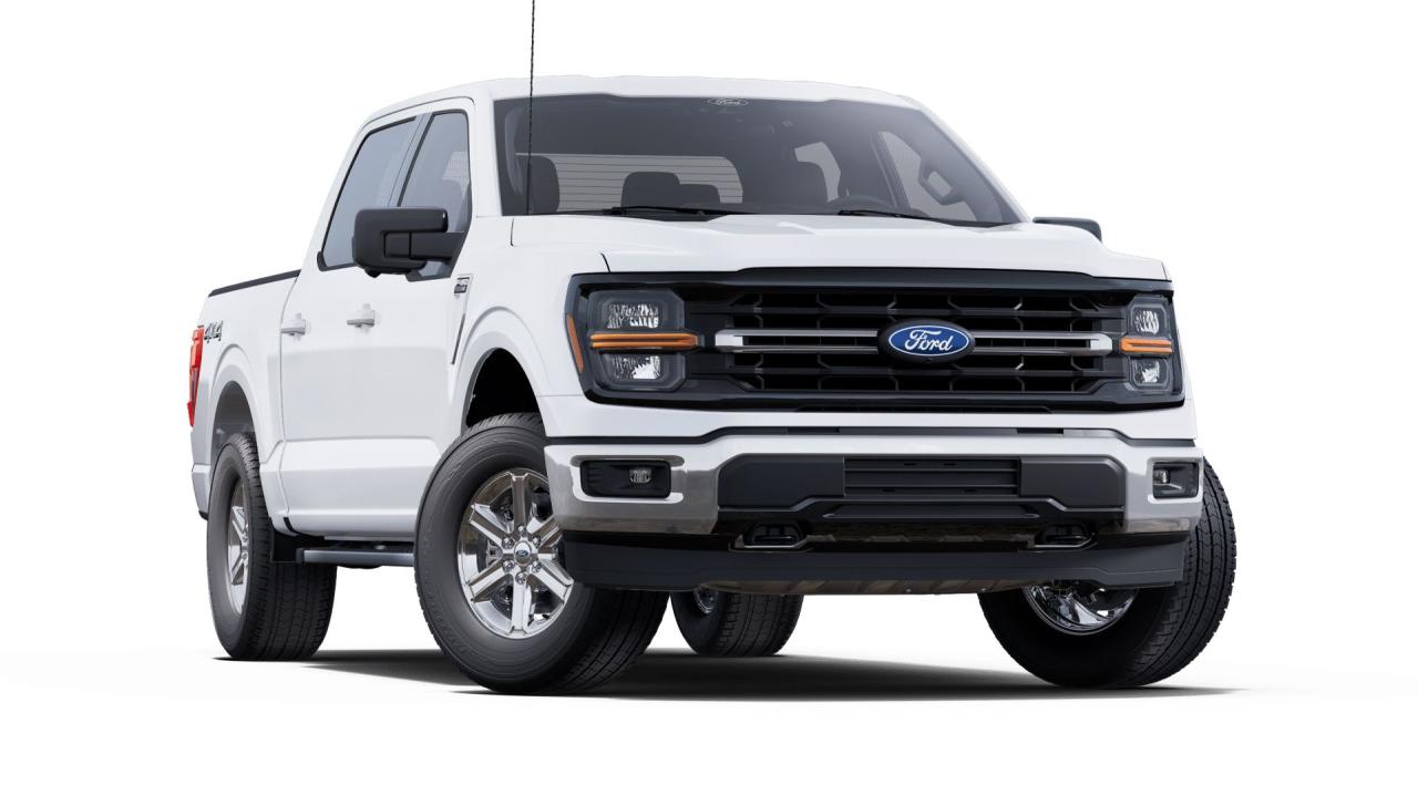 2025 Ford F-150 XLT Photo3