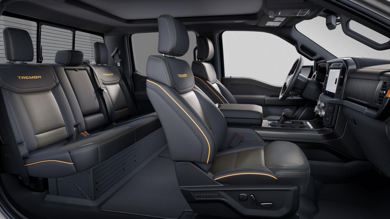 2025 Ford F-150 Tremor Photo5
