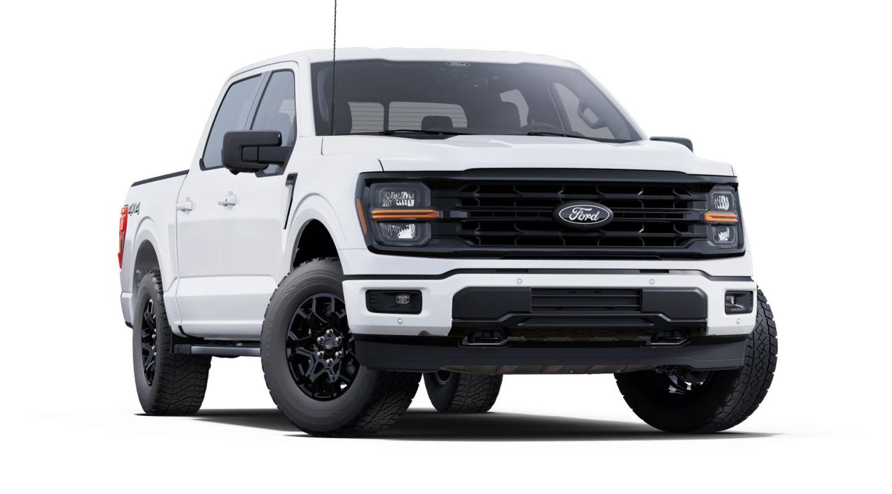 2025 Ford F-150 XLT Photo5