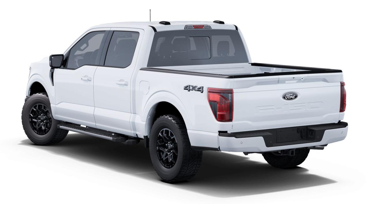 2025 Ford F-150 XLT Photo