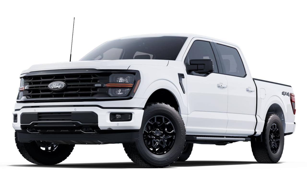 2025 Ford F-150 XLT Photo0