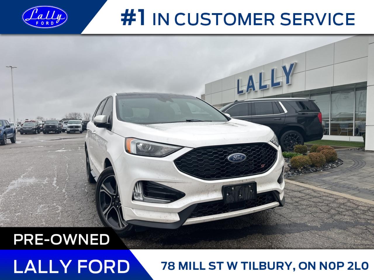 Used 2019 Ford Edge ST, Roof, Nav, Leather/Suede! for sale in Tilbury, ON