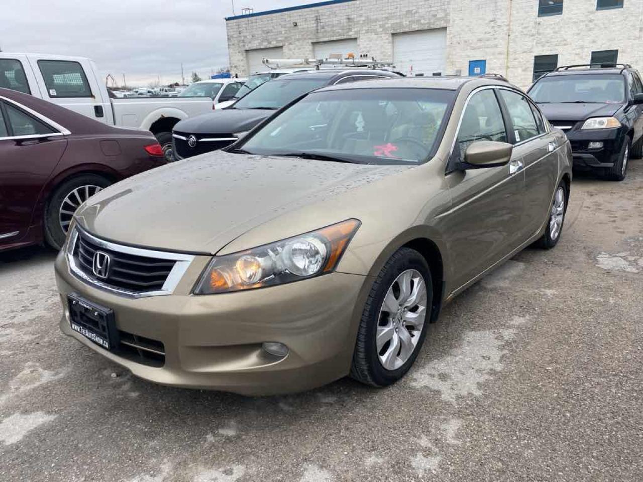 Used 2008 Honda Accord EXL for sale in Innisfil, ON