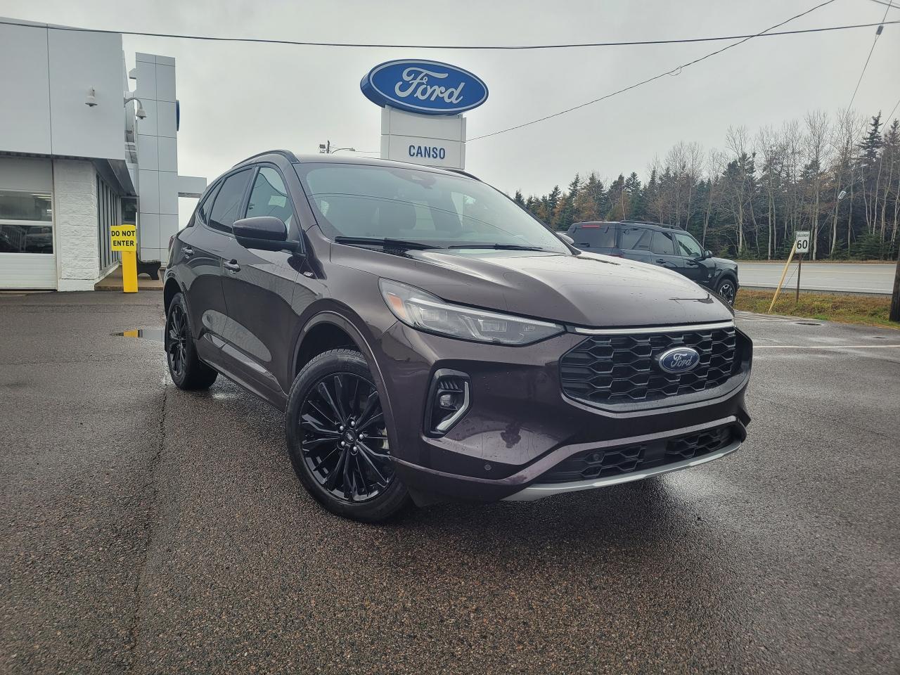 Used 2023 Ford Escape  for sale in Port Hawkesbury, NS