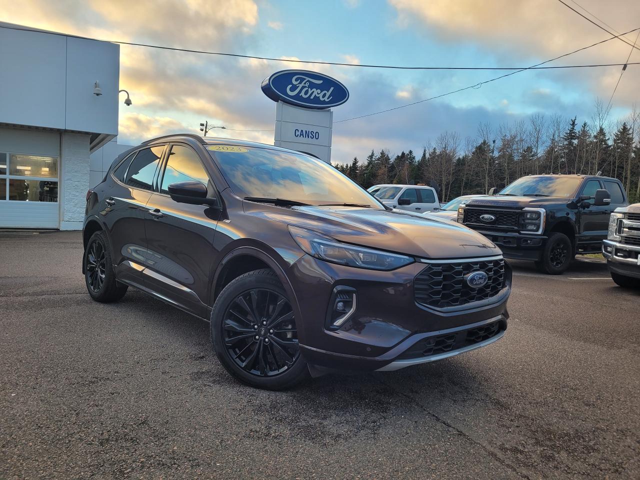 Used 2023 Ford Escape ST-LINE ELITE HYBRID for sale in Port Hawkesbury, NS