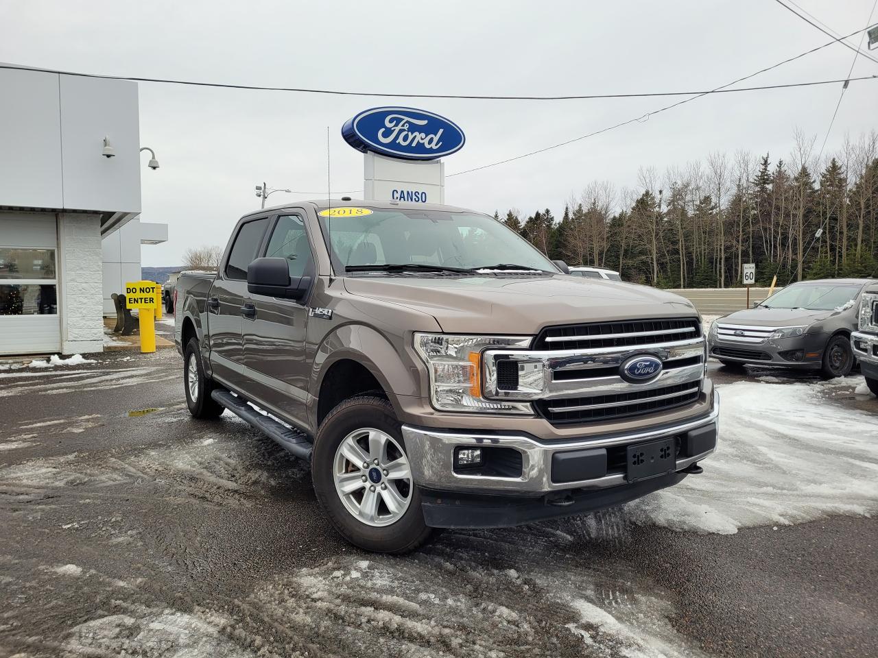 Used 2018 Ford F-150 XLT SUPERCREW W/ONE OWNER for sale in Port Hawkesbury, NS