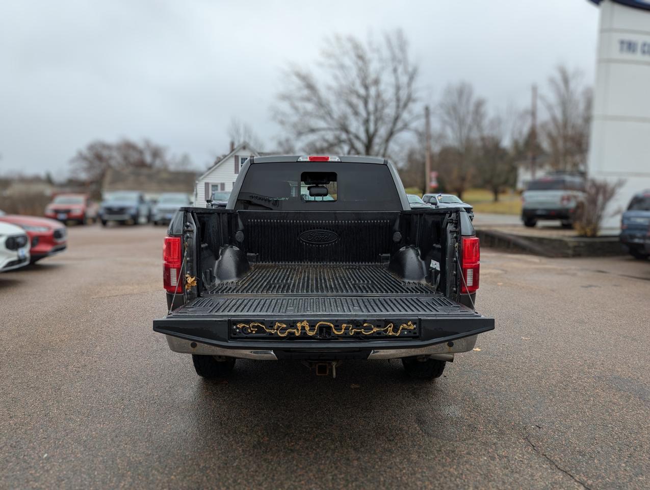 2019 Ford F-150 Lariat Photo5