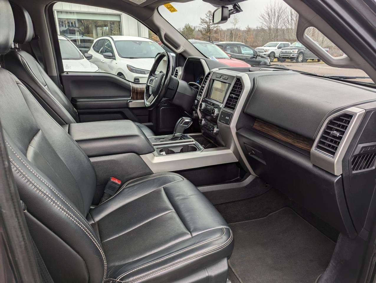 2019 Ford F-150 Lariat Photo5