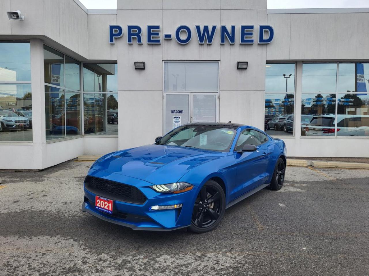 Used 2021 Ford Mustang EcoBoost haut niveau à toit fuyant for sale in Niagara Falls, ON