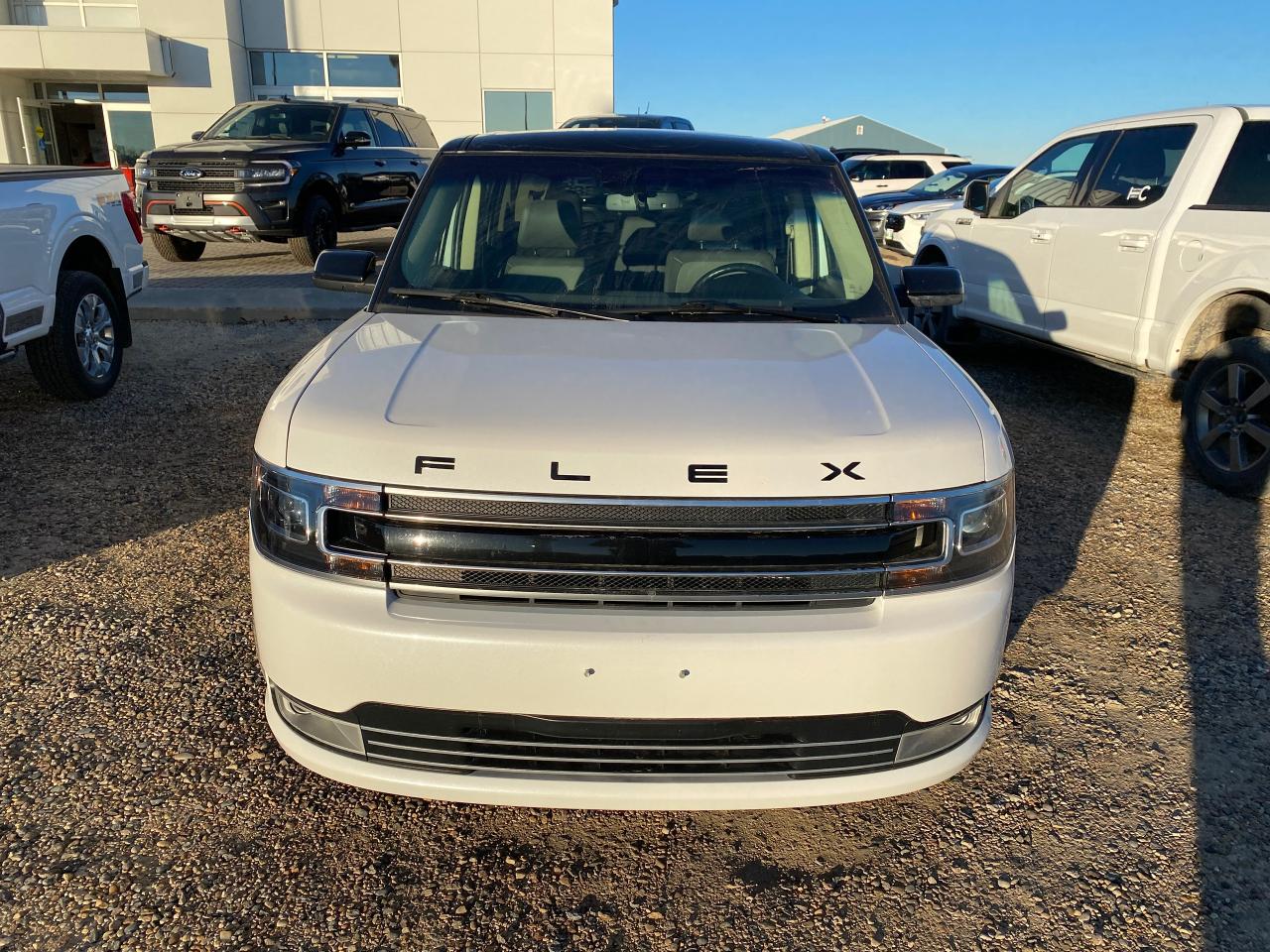 2019 Ford Flex Limited EcoBoost AWD Photo