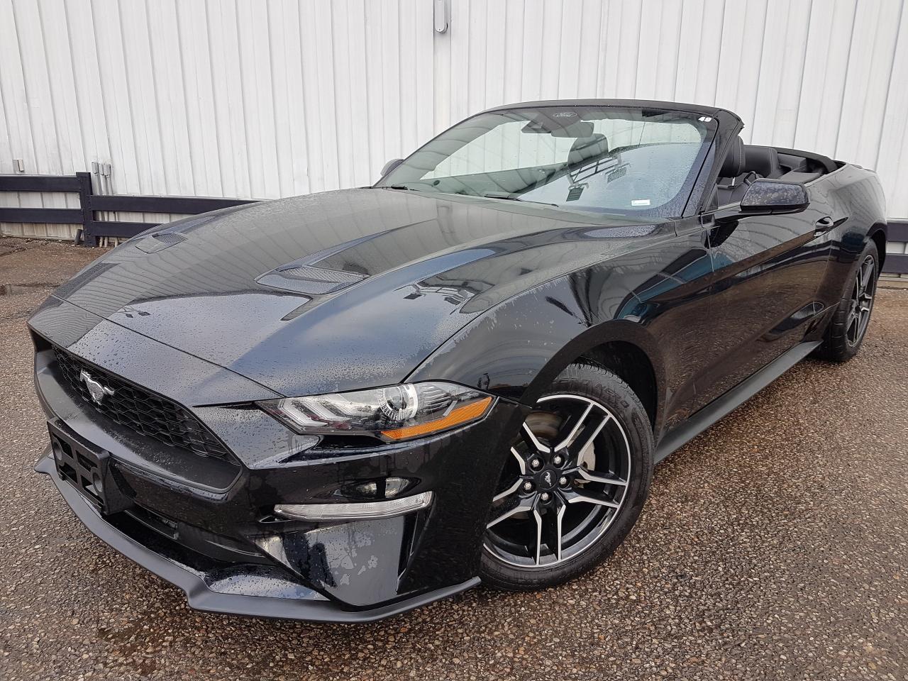 Used 2023 Ford Mustang EcoBoost Premium *CONVERTIBLE* for sale in Kitchener, ON