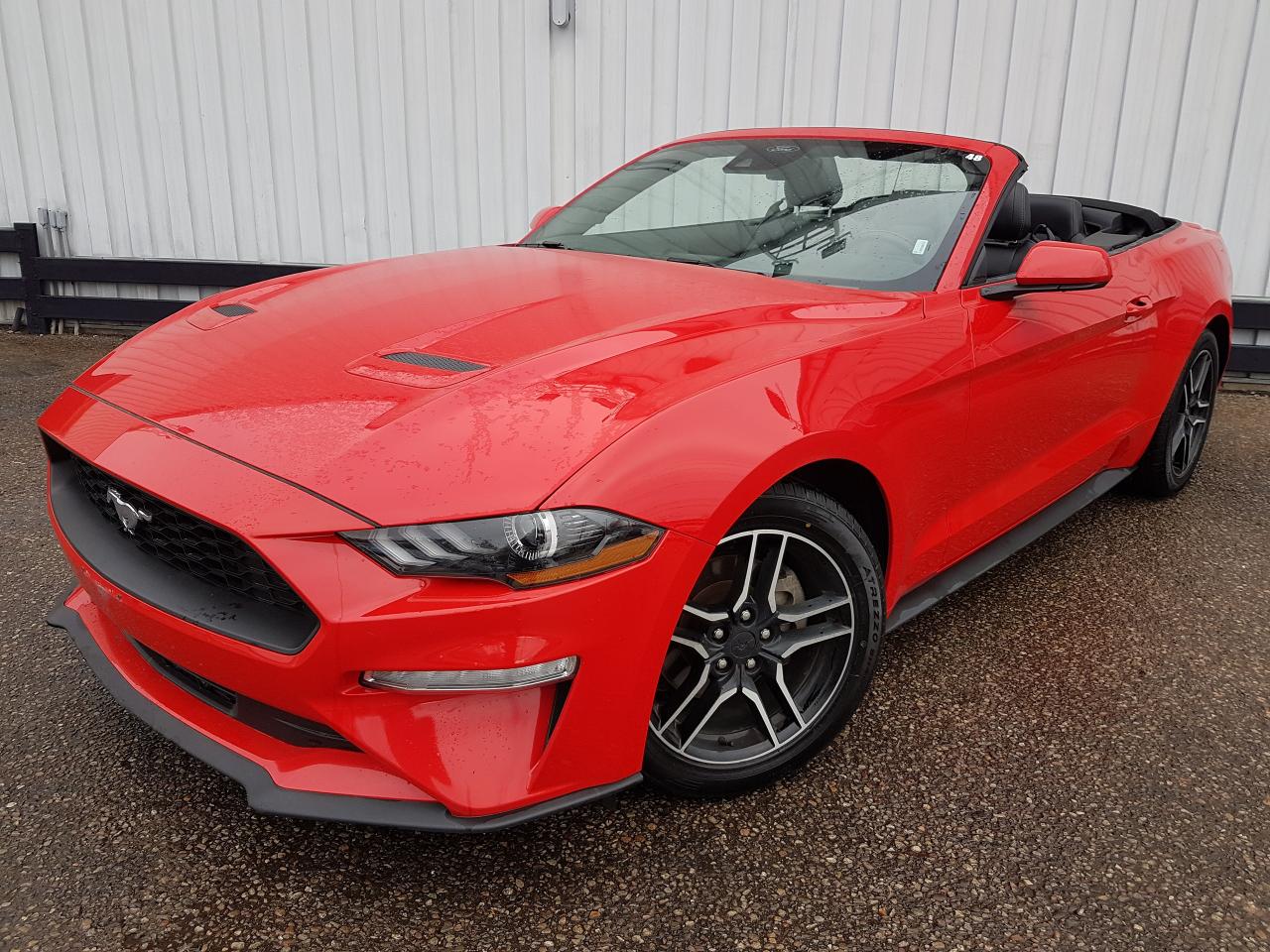 Used 2023 Ford Mustang EcoBoost Premium *CONVERTIBLE* for sale in Kitchener, ON