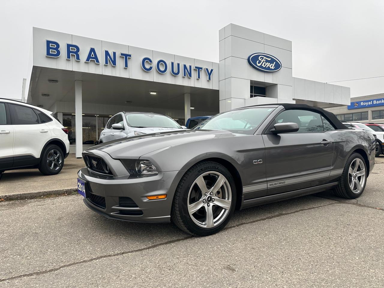 Used 2014 Ford Mustang 2dr Conv GT for sale in Brantford, ON