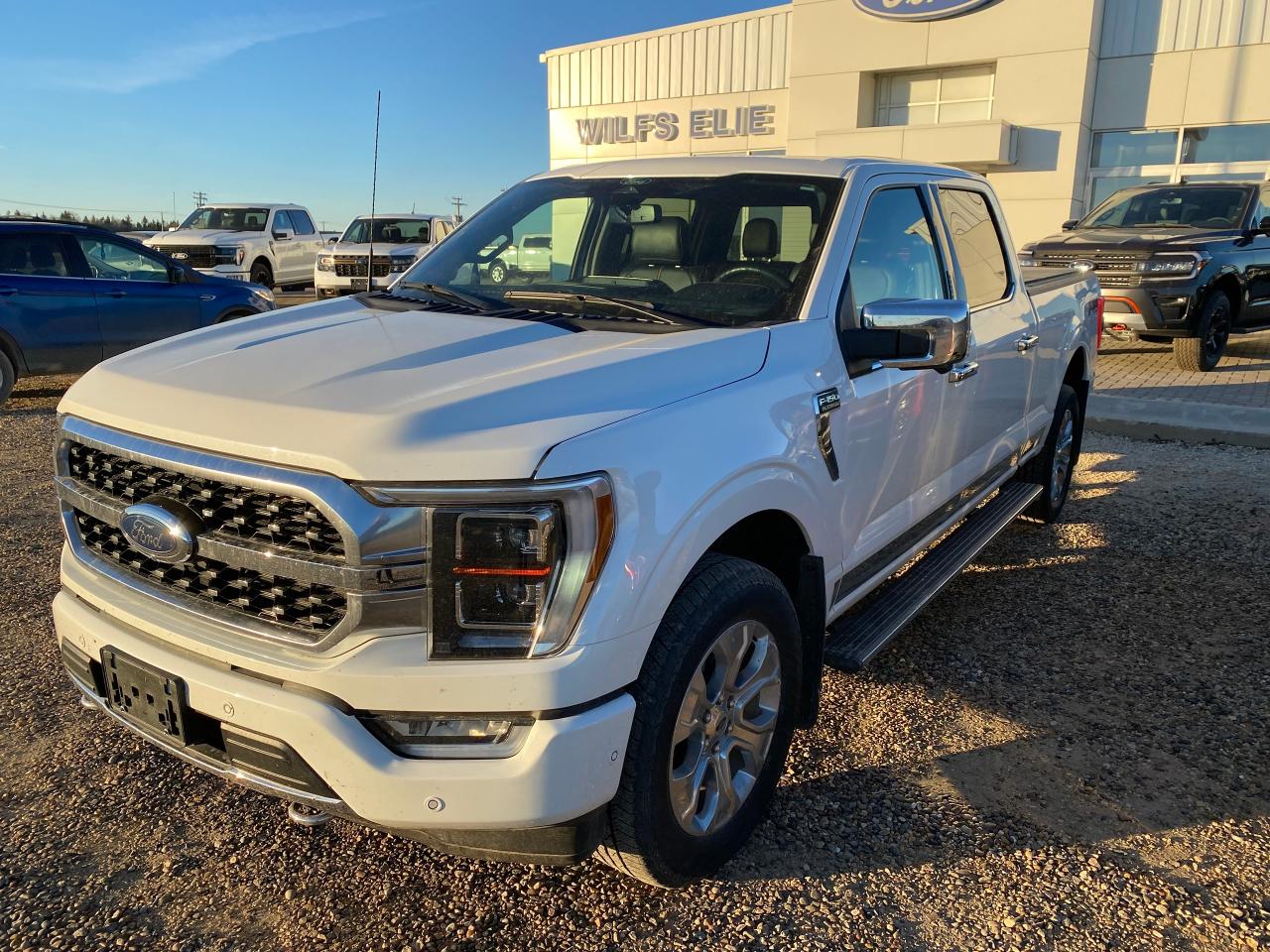 New 2022 Ford F-150 PLATINUM 4WD SUPERCREW 6.5' BOX for sale in Elie, MB