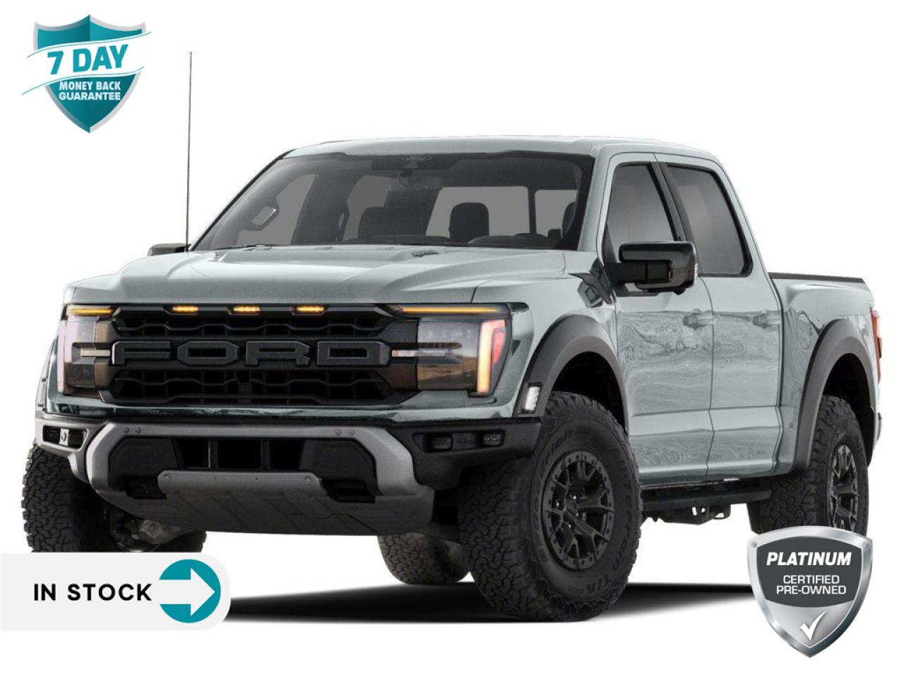 Used 2024 Ford F-150 Raptor RAPTOR for sale in Grimsby, ON