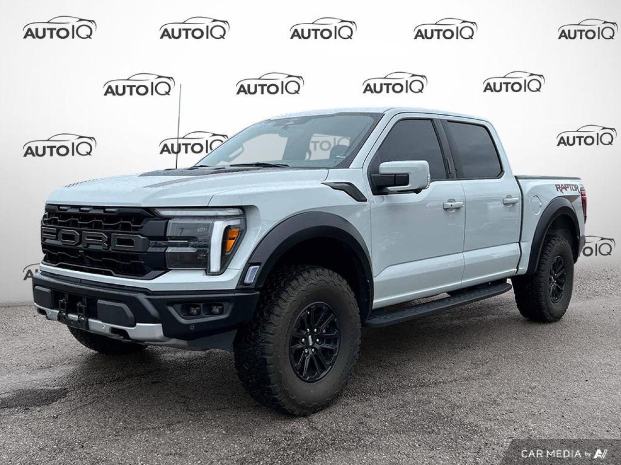 Used 2024 Ford F-150 Raptor RAPTOR for sale in Grimsby, ON