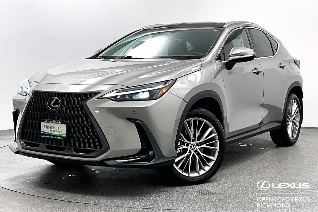 Used 2024 Lexus NX h NX 350h for sale in Richmond, BC