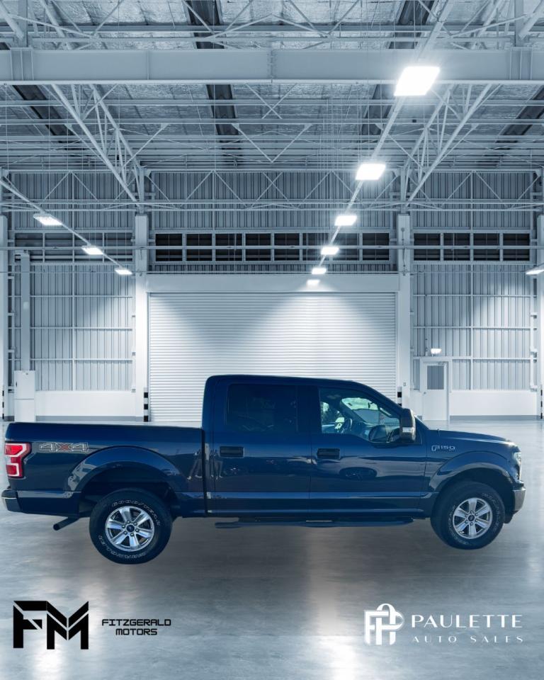 2020 Ford F-150 XLT 4WD SuperCrew 5.5' Box 5.0 litre - Photo #4